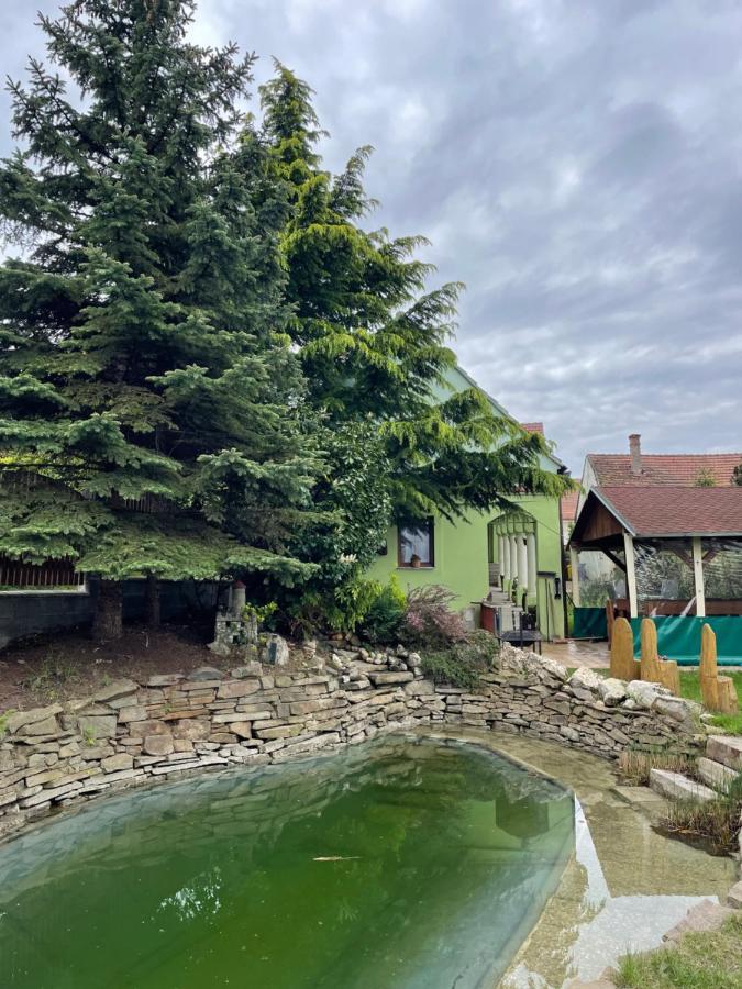 Na Upati Palavy Hotel Horni Vestonice Bagian luar foto