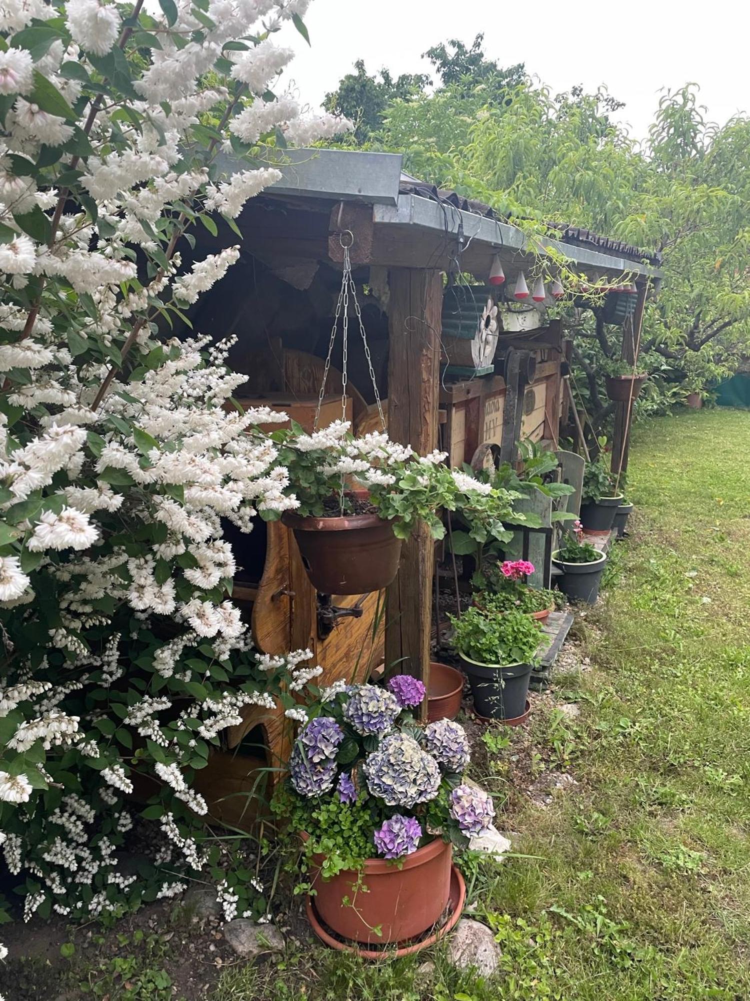 Na Upati Palavy Hotel Horni Vestonice Bagian luar foto